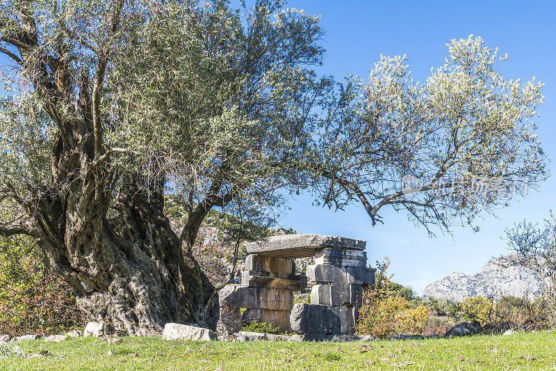 来自Dodurga村的Sidyma古城。Fethiye, Mugla，土耳其。